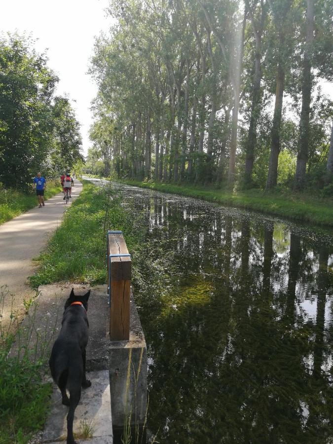 Appartementy Coco Bolo Bourges Buitenkant foto